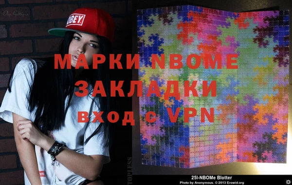 индика Володарск
