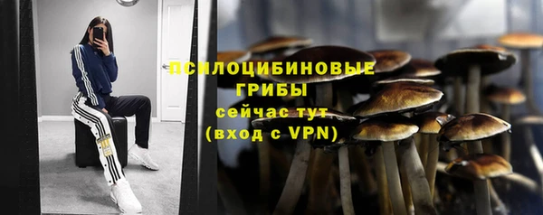 круглые Верея