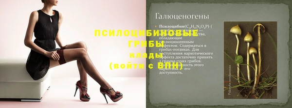 прущие крисы Верхний Тагил