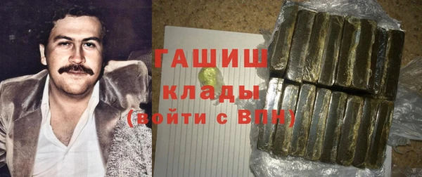 индика Володарск