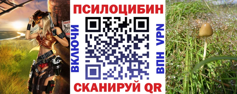Галлюциногенные грибы мухоморы  хочу   Печора 